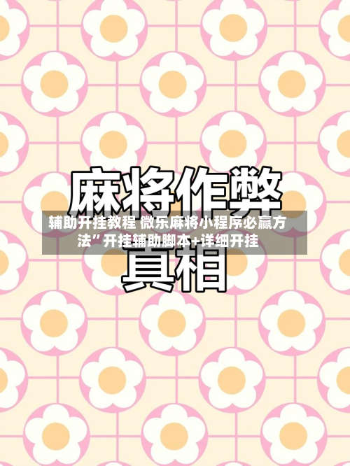 辅助开挂教程 微乐麻将小程序必赢方法”开挂辅助脚本+详细开挂-第3张图片