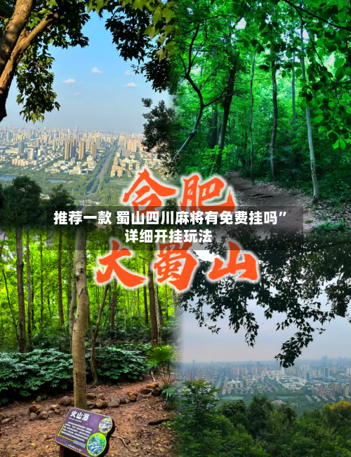 推荐一款 蜀山四川麻将有免费挂吗”详细开挂玩法-第3张图片