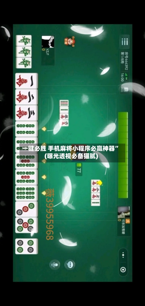 一键必胜 手机麻将小程序必赢神器”(曝光透视必备猫腻)-第2张图片