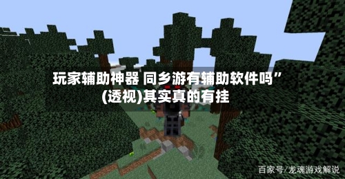玩家辅助神器 同乡游有辅助软件吗	”(透视)其实真的有挂-第2张图片