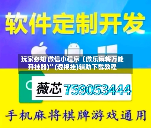 玩家必知 微信小程序（微乐麻将万能开挂器)”(透视挂)辅助下载教程-第2张图片