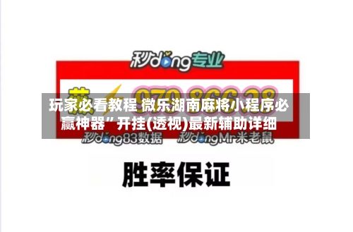 玩家必看教程 微乐湖南麻将小程序必赢神器”开挂(透视)最新辅助详细-第3张图片