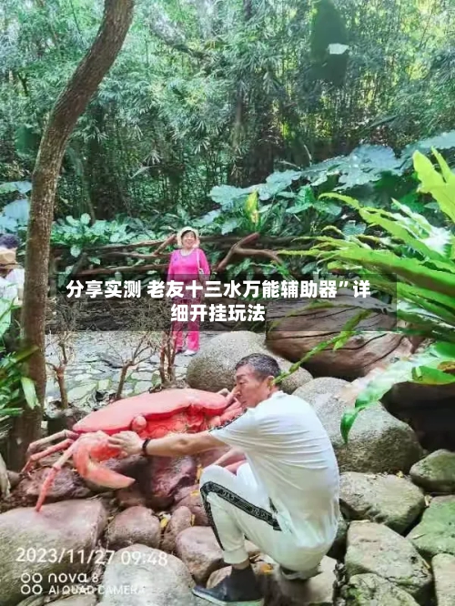 分享实测 老友十三水万能辅助器”详细开挂玩法-第3张图片