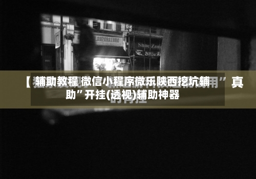 辅助教程 微信小程序微乐陕西挖坑辅助	”开挂(透视)辅助神器-第2张图片