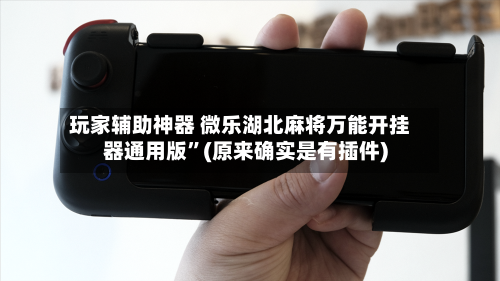 玩家辅助神器 微乐湖北麻将万能开挂器通用版	”(原来确实是有插件)-第3张图片