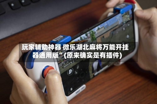 玩家辅助神器 微乐湖北麻将万能开挂器通用版”(原来确实是有插件)-第2张图片