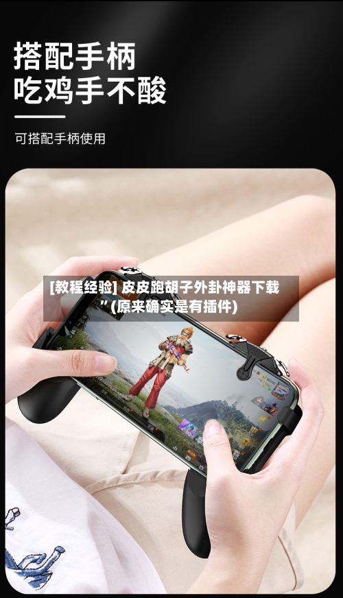 [教程经验] 皮皮跑胡子外卦神器下载	”(原来确实是有插件)-第2张图片