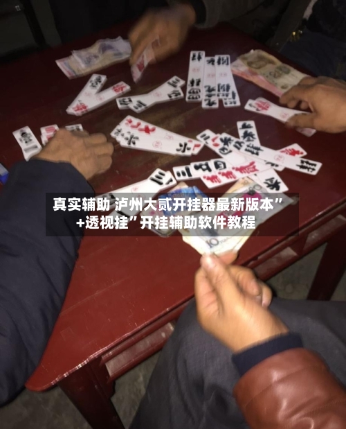 真实辅助 泸州大贰开挂器最新版本”+透视挂	”开挂辅助软件教程-第2张图片