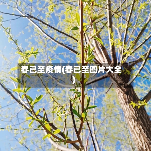 春已至疫情(春已至图片大全)-第2张图片