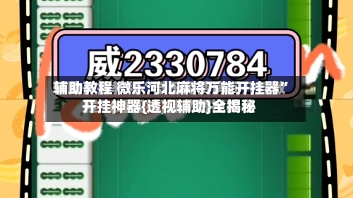 辅助教程 微乐河北麻将万能开挂器”开挂神器{透视辅助}全揭秘-第2张图片