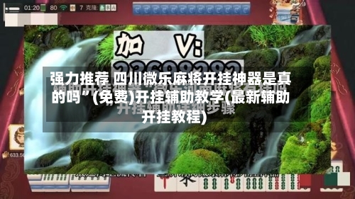 强力推荐 四川微乐麻将开挂神器是真的吗	”(免费)开挂辅助教学(最新辅助开挂教程)-第2张图片