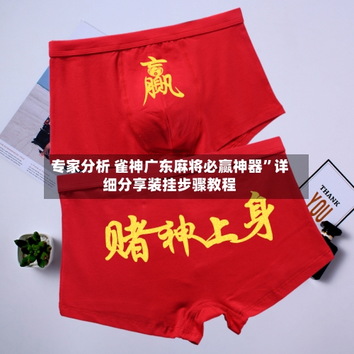 专家分析 雀神广东麻将必赢神器”详细分享装挂步骤教程-第3张图片
