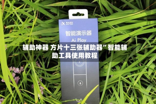 辅助神器 方片十三张辅助器”智能辅助工具使用教程-第2张图片