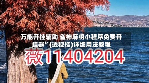 万能开挂辅助 雀神麻将小程序免费开挂器”(透视挂)详细用法教程-第3张图片