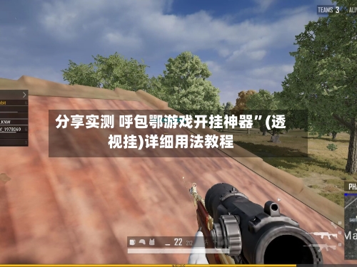 分享实测 呼包鄂游戏开挂神器”(透视挂)详细用法教程-第2张图片