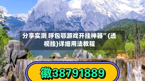 分享实测 呼包鄂游戏开挂神器”(透视挂)详细用法教程-第3张图片