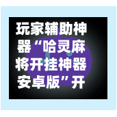 玩家辅助神器“哈灵麻将开挂神器安卓版”开挂(透视)辅助神器-第2张图片