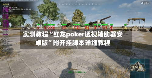 实测教程“红龙poker透视辅助器安卓版”附开挂脚本详细教程-第2张图片