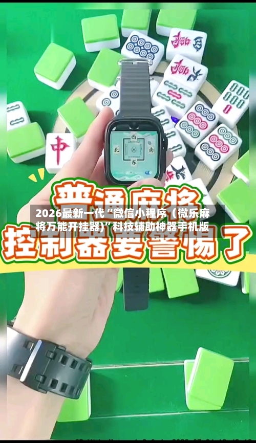 2026最新一代“微信小程序（微乐麻将万能开挂器)”科技辅助神器手机版-第2张图片