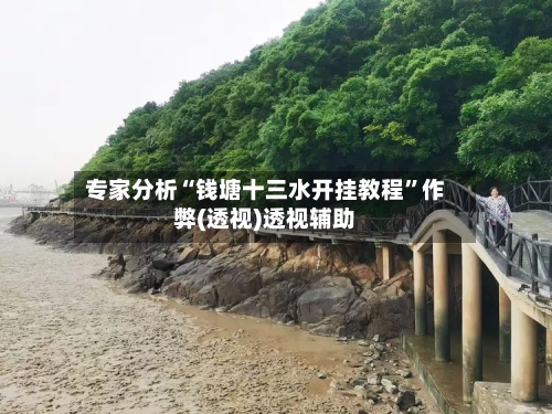 专家分析“钱塘十三水开挂教程”作弊(透视)透视辅助-第2张图片