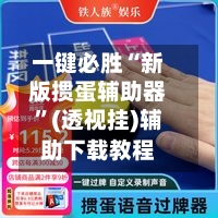 一键必胜“新版掼蛋辅助器”(透视挂)辅助下载教程-第2张图片