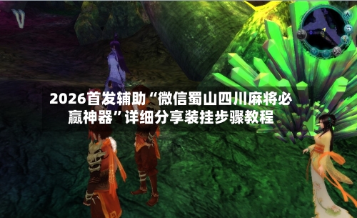 2026首发辅助“微信蜀山四川麻将必赢神器”详细分享装挂步骤教程-第3张图片
