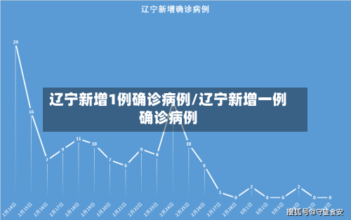 辽宁新增1例确诊病例/辽宁新增一例确诊病例-第2张图片