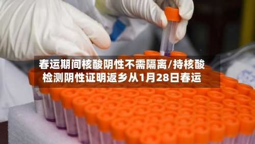 春运期间核酸阴性不需隔离/持核酸检测阴性证明返乡从1月28日春运-第2张图片