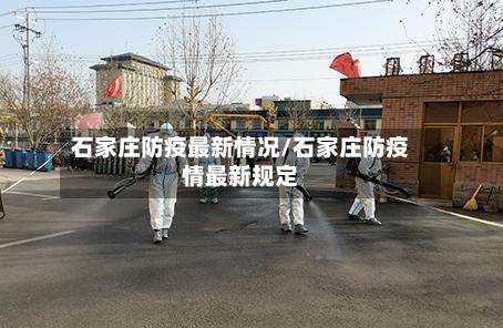 石家庄防疫最新情况/石家庄防疫情最新规定-第2张图片