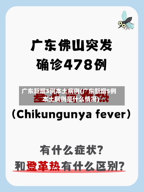 广东新增5例本土病例(广东新增5例本土病例是什么情况)-第3张图片
