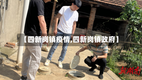 【四新岗镇疫情,四新岗镇政府】-第2张图片