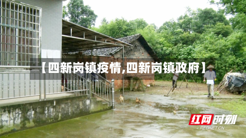 【四新岗镇疫情,四新岗镇政府】