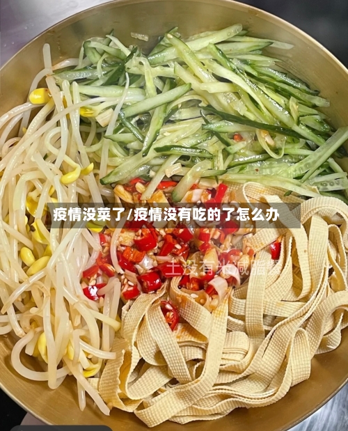 疫情没菜了/疫情没有吃的了怎么办-第2张图片