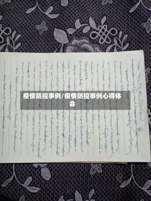 疫情防控事例/疫情防控事例心得体会