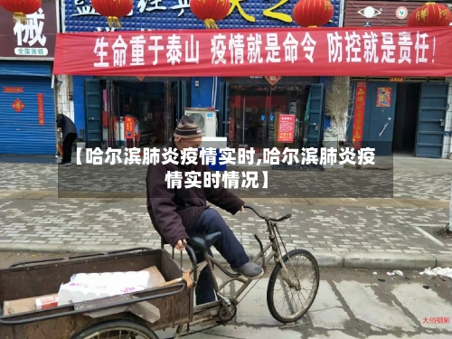 【哈尔滨肺炎疫情实时,哈尔滨肺炎疫情实时情况】-第2张图片