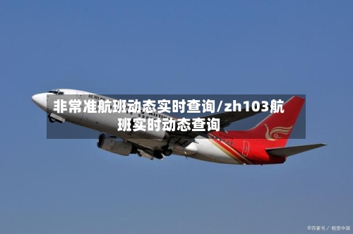 非常准航班动态实时查询/zh103航班实时动态查询