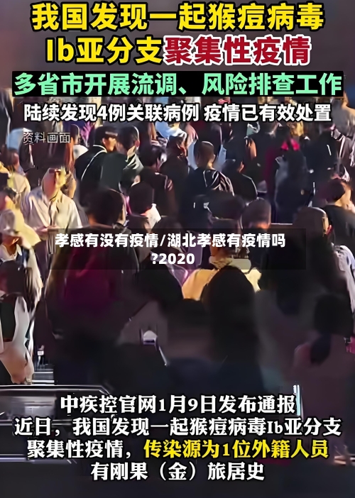 孝感有没有疫情/湖北孝感有疫情吗?2020