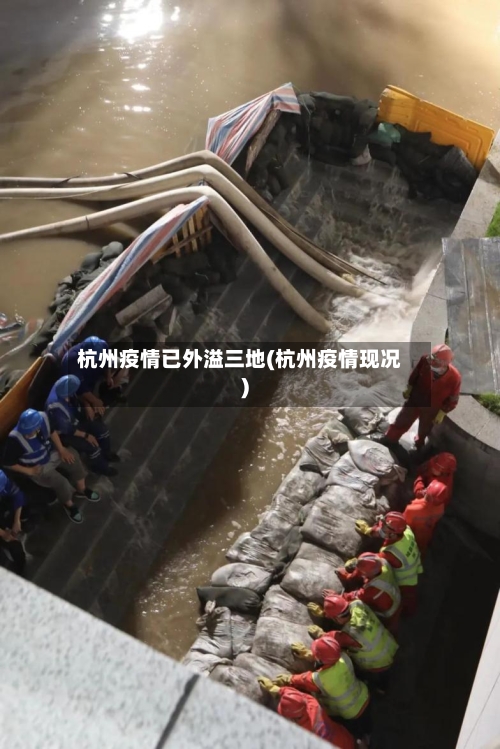 杭州疫情已外溢三地(杭州疫情现况)