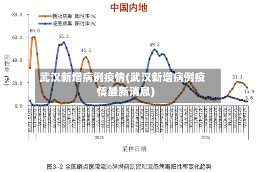 武汉新增病例疫情(武汉新增病例疫情最新消息)-第2张图片