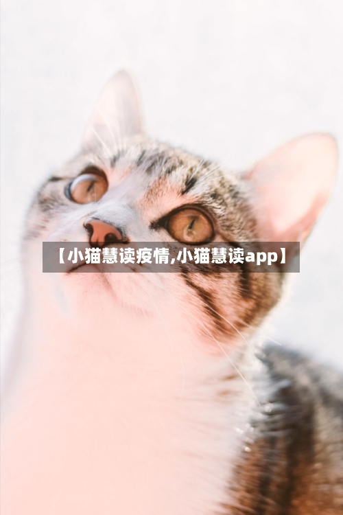 【小猫慧读疫情,小猫慧读app】