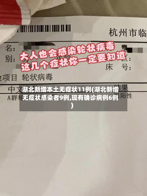 湖北新增本土无症状11例(湖北新增无症状感染者9例,现有确诊病例6例)-第2张图片
