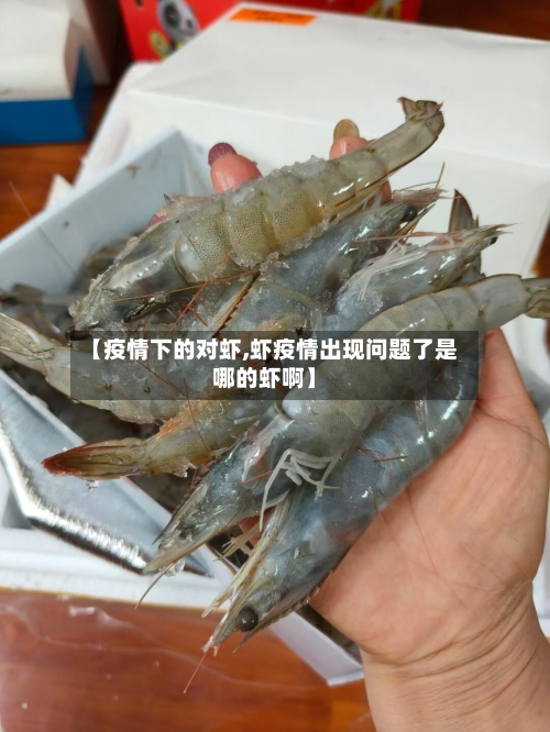 【疫情下的对虾,虾疫情出现问题了是哪的虾啊】-第3张图片