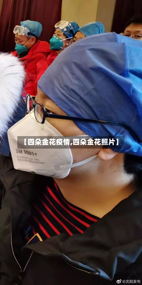 【四朵金花疫情,四朵金花照片】