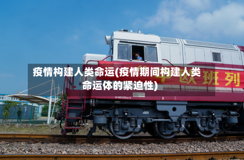 疫情构建人类命运(疫情期间构建人类命运体的紧迫性)