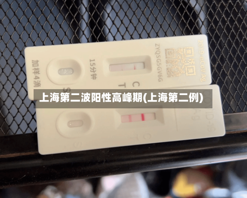 上海第二波阳性高峰期(上海第二例)