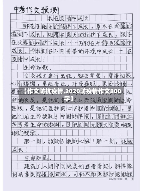 【作文防抗疫情,2020防疫情作文800字】