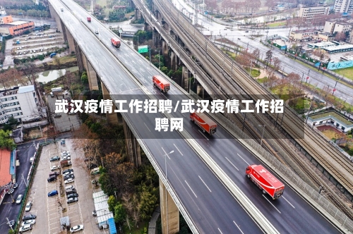 武汉疫情工作招聘/武汉疫情工作招聘网