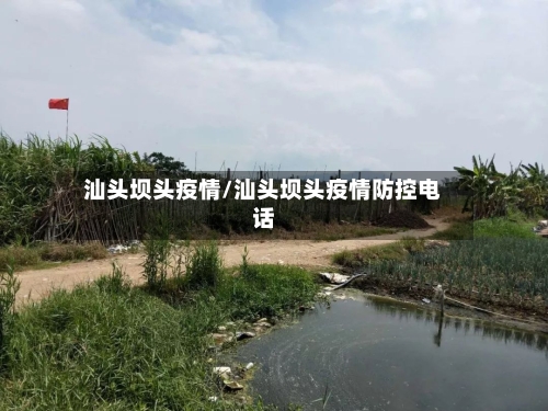 汕头坝头疫情/汕头坝头疫情防控电话-第2张图片