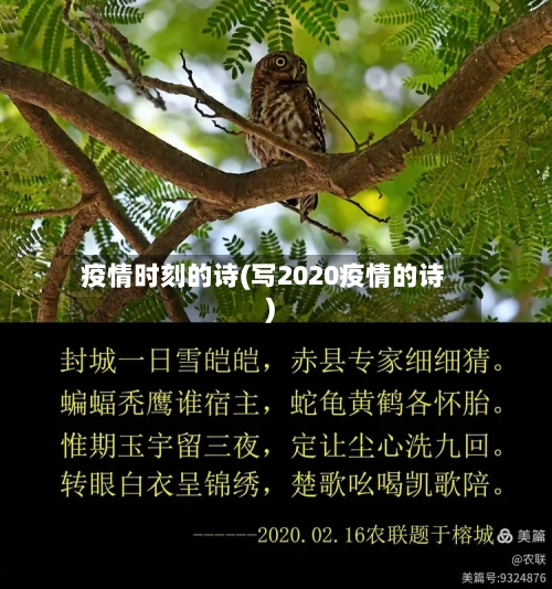 疫情时刻的诗(写2020疫情的诗)