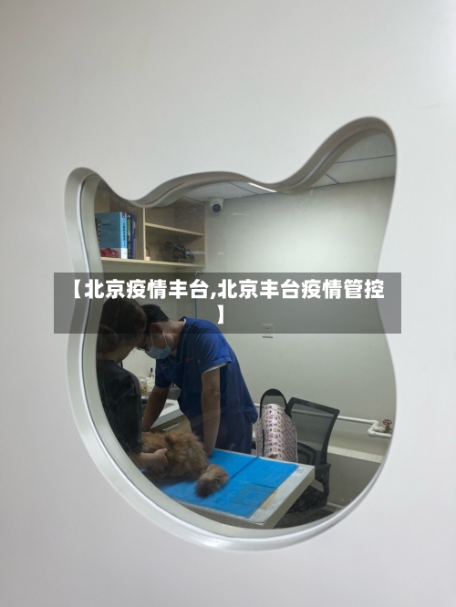 【北京疫情丰台,北京丰台疫情管控】